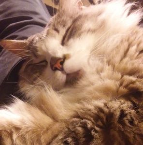 Meet your Posher, Smoky